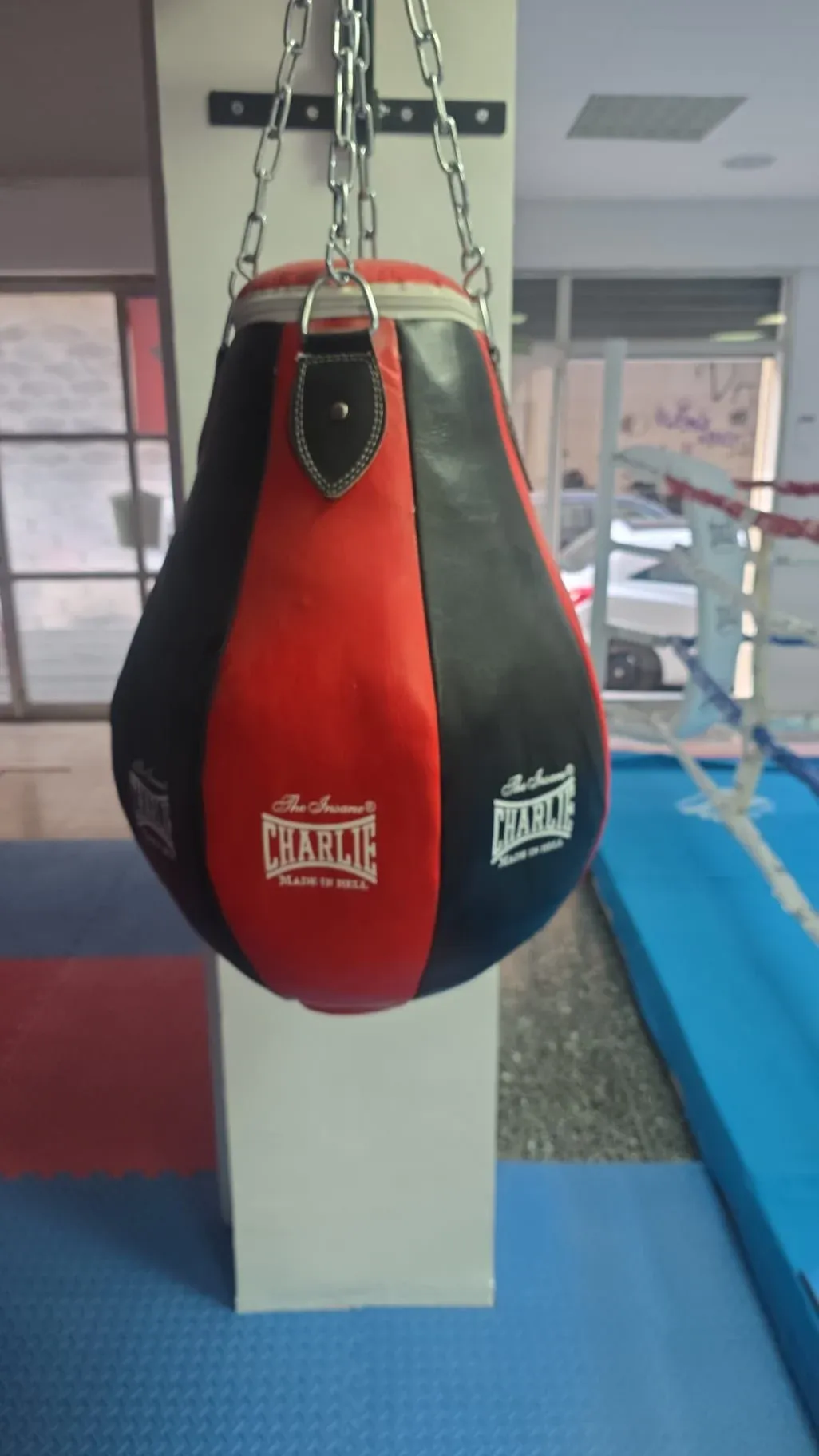 Liz Boxing — entrenamiento