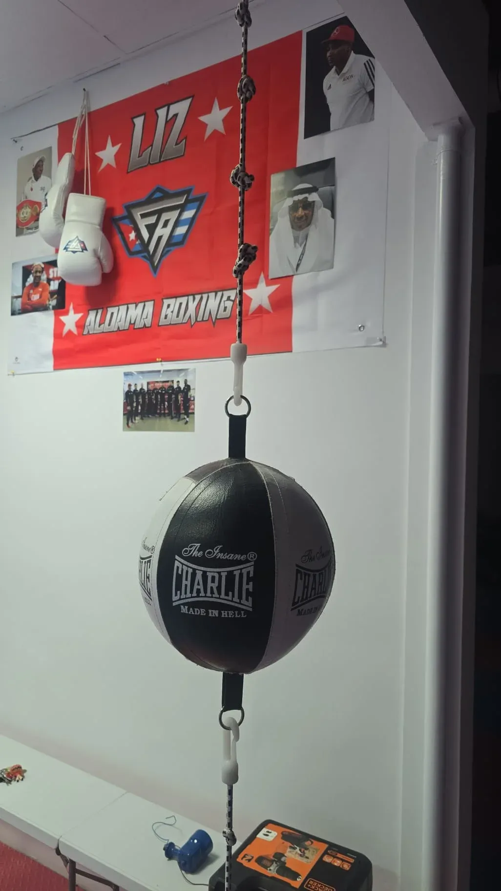 Liz Boxing — ring de boxeo