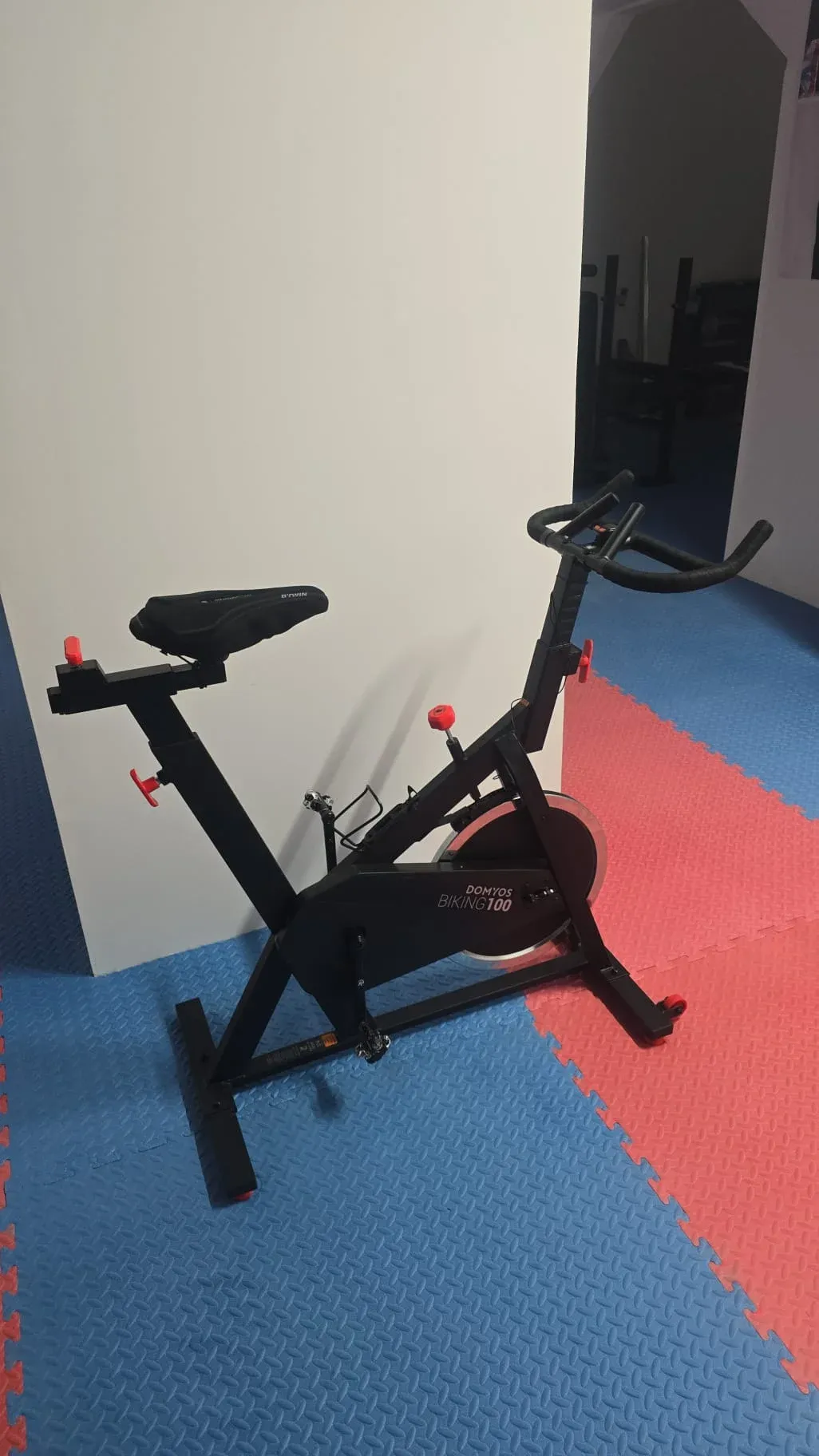 Liz Boxing — boxeo Palma